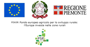 PSR  FEASR